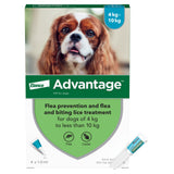 Advantage for dogs - pack of 4