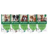 Advantage for dogs - pack of 4