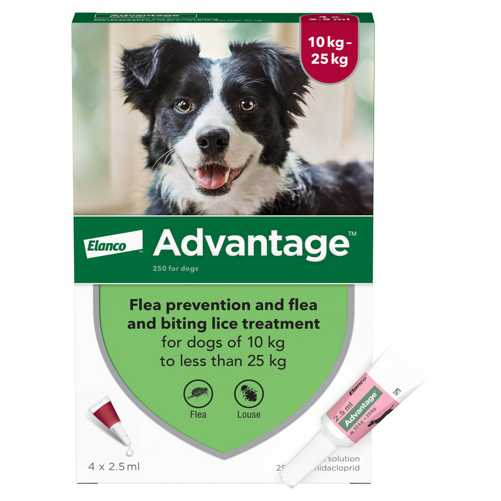 Advantage for dogs - pack of 4