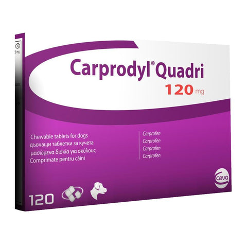 Carprodyl Quadri 120mg Tablets for Dogs (Prescription Required)