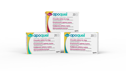 Apoquel Chewable Tablets (prescription only)