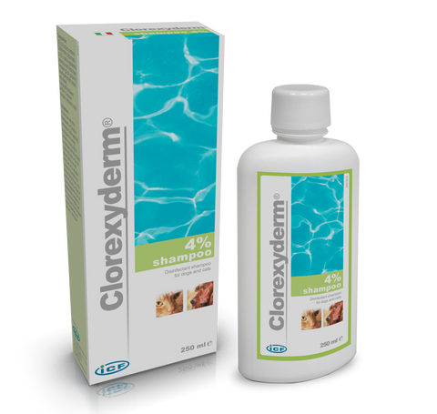 Clorexyderm Shampoo