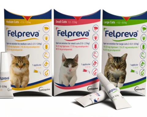 Felpreva Cats Spot on Solution - 1 pipette (Prescription Required)