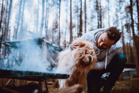 barbecue with dog and owner
